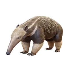 Ant-eater